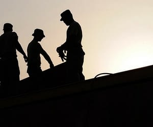 theperfectwildlife.com | Bakersfield Roofers: Re-Roofing ...